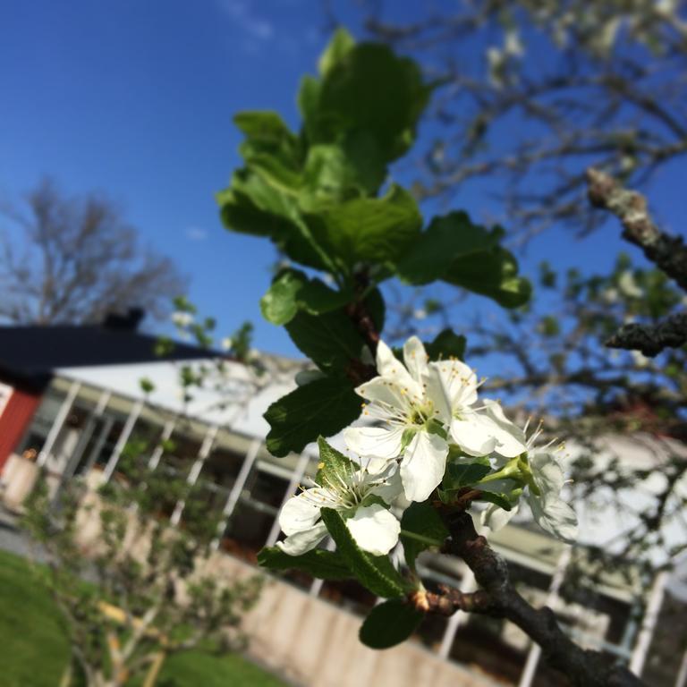 Narebo Gardshotell Lidköping エクステリア 写真